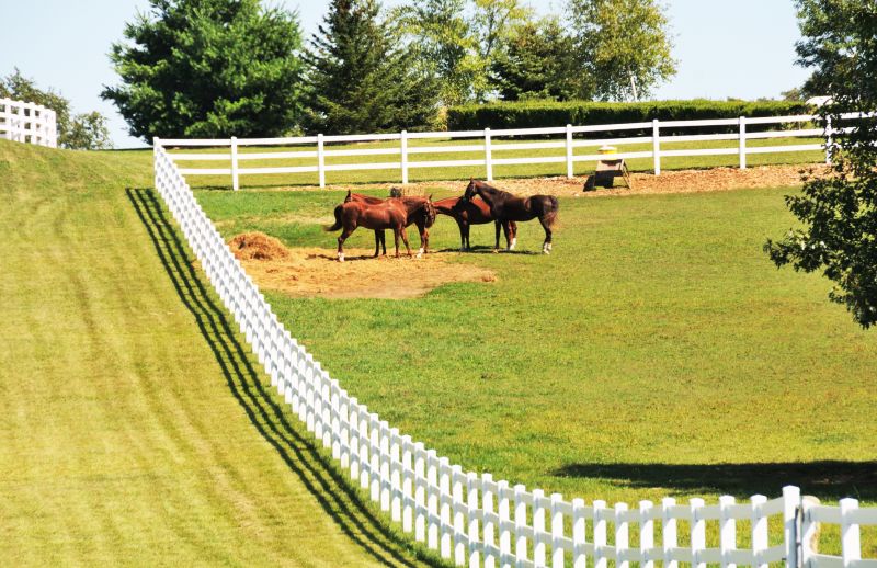 Horse Fence Replacement in South Houston, TX