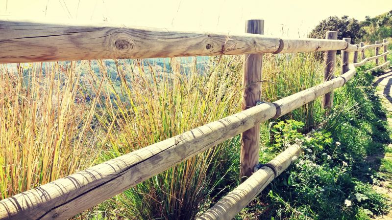 Pine Fence Installation in Pearland, TX